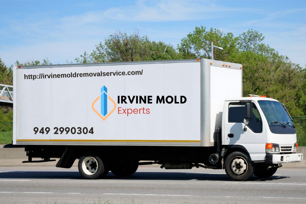 Movers in Miami, Florida, loading boxes onto a truck, showcasing their professional relocation services.
