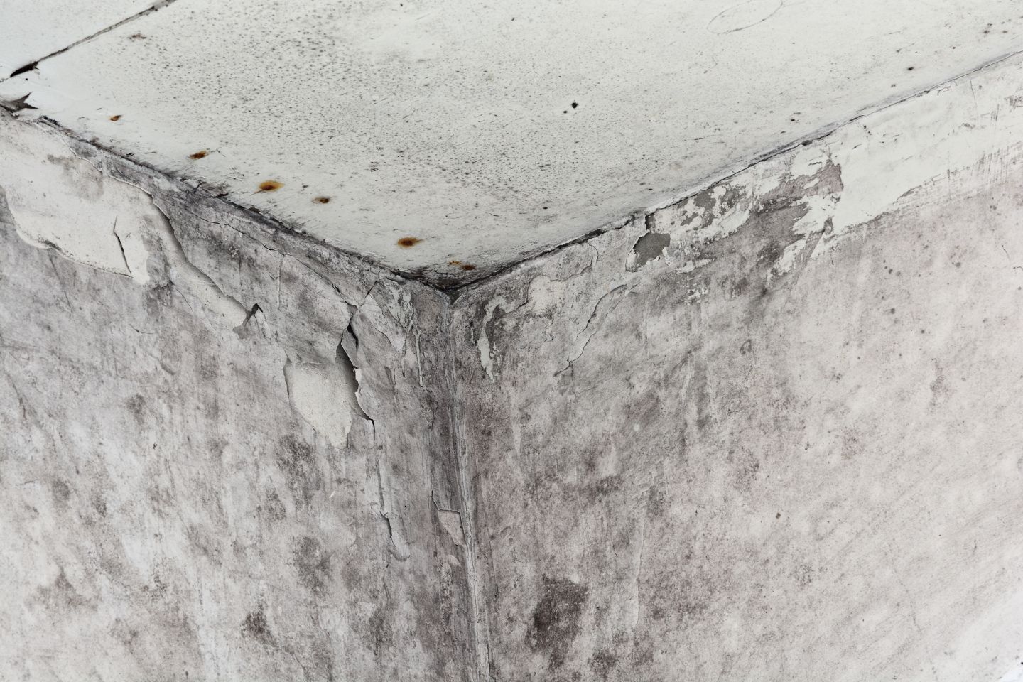 Detailed view of a wall with black mold, emphasizing the importance of professional mold removal in Irvine, CA.