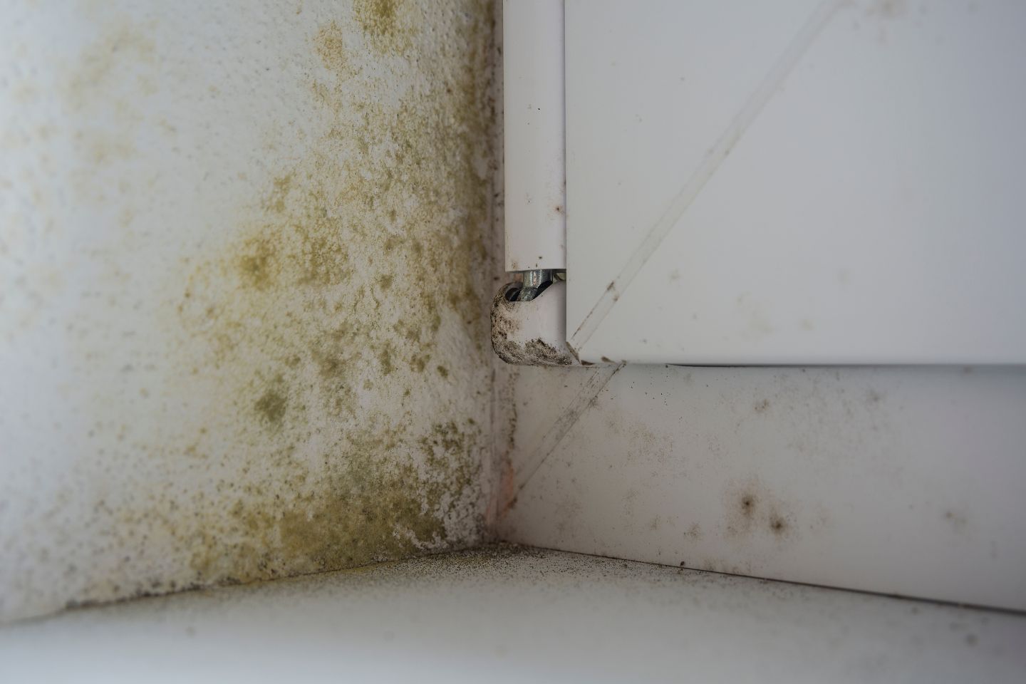 A moldy window with a dirty frame, highlighting the need for mold removal services in a basement in Irvine, CA.