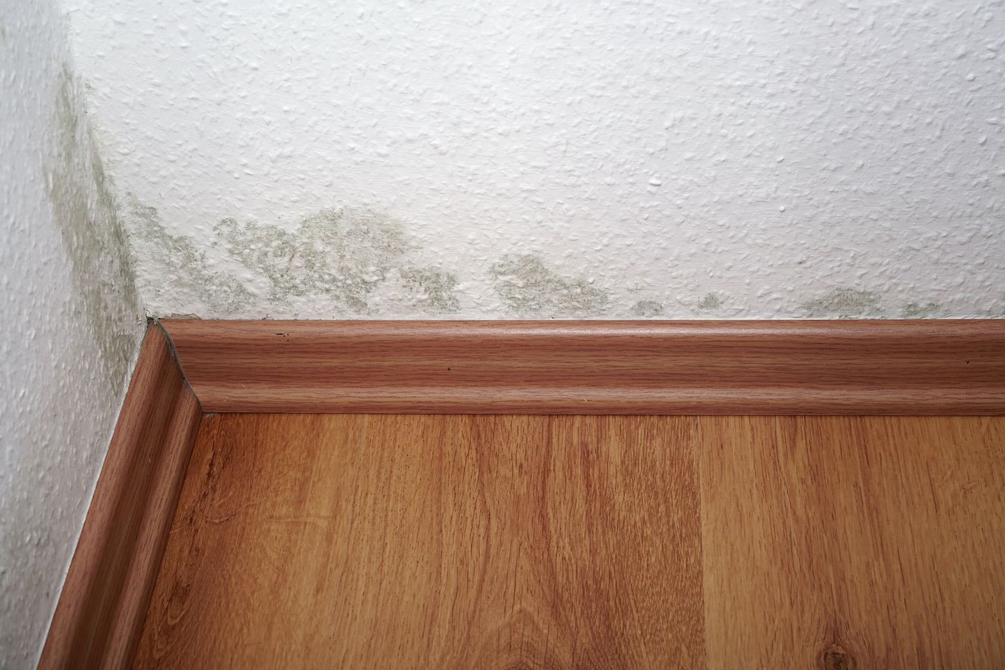 Brown wood flooring in an attic, illustrating the site of an upcoming mold removal service in Irvine, CA.