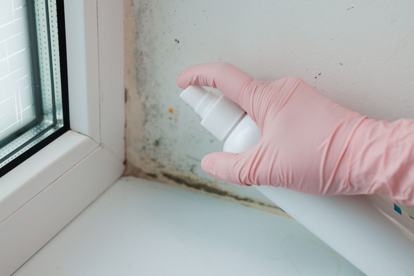 A person with a pink glove sprays a window with a white solution, representing a bathroom mold removal service in Irvine, CA.