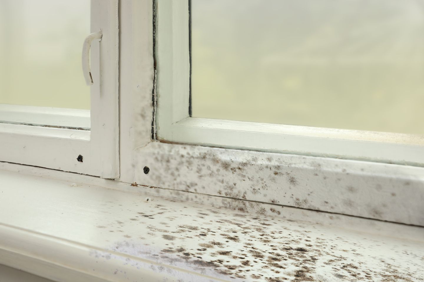 A window with visible mold on the glass and a white window sill, representing a mold removal service in Irvine, CA.
