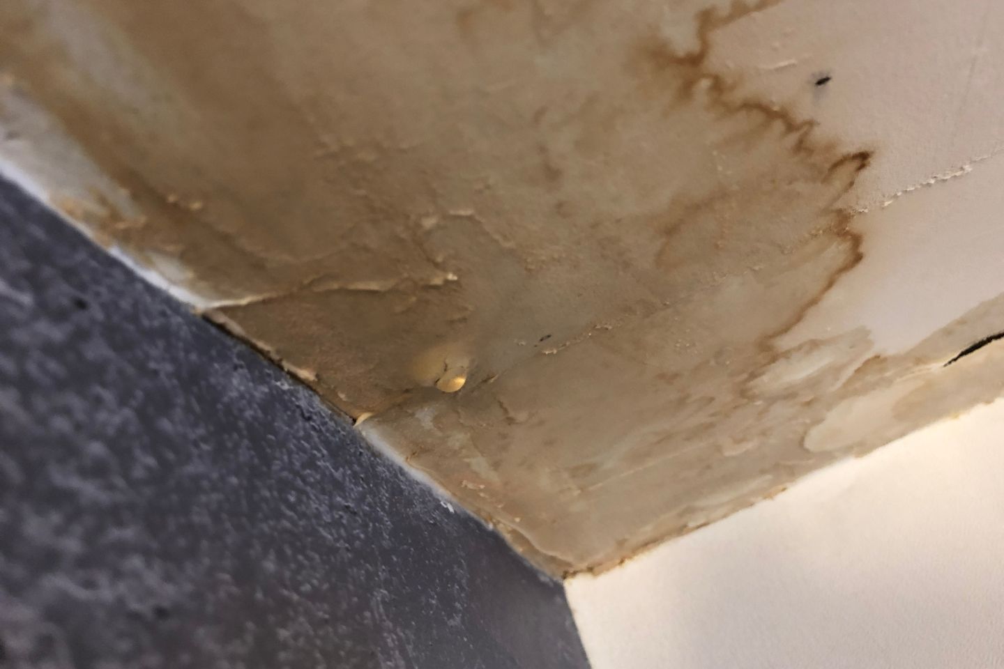 Moldy ceiling with visible water damage, highlighting the need for restoration services in Irvine, CA.