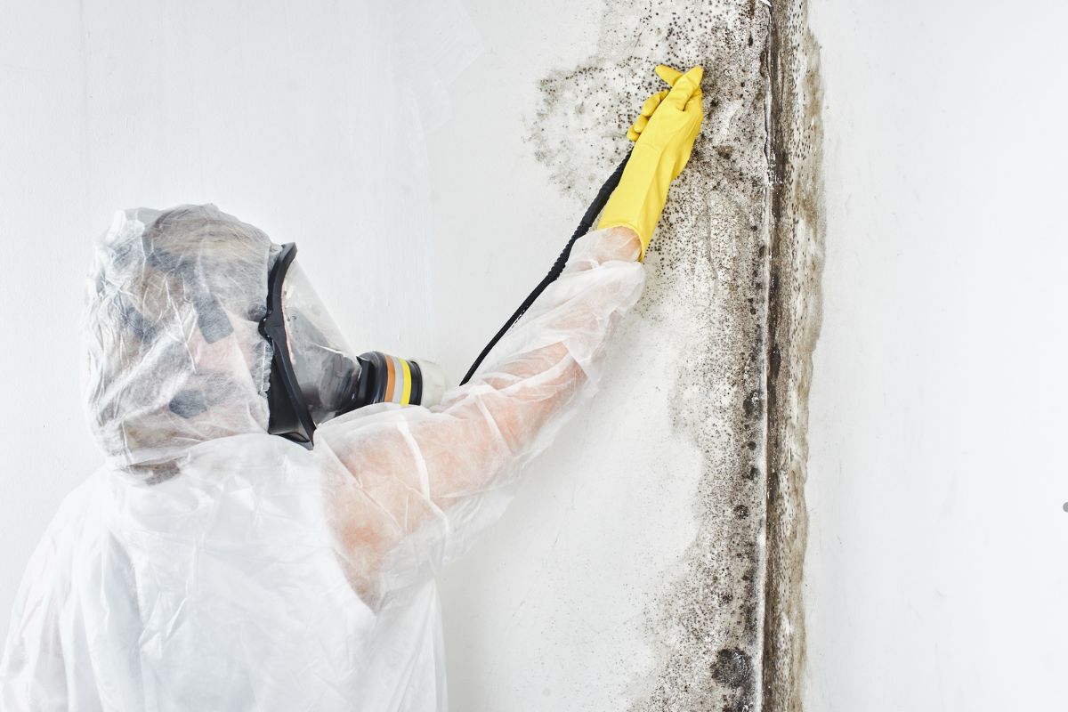 A person in a white suit and yellow gloves sprays mold treatment on a wall to remove mold.